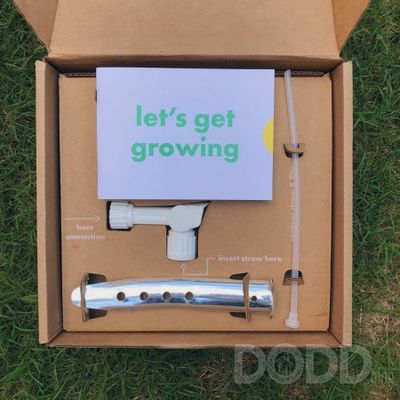 Strong and Healthy Lawn With Sunday Lawn Plans