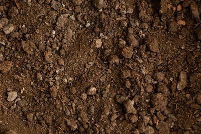 6 Tips for Selecting the Best Excavation and Earthmoving Contractor