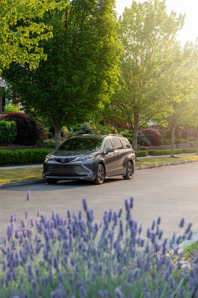 2025 Toyota Sienna Platinum AWD parked under trees on a quiet residential street, with lavender in the foreground.