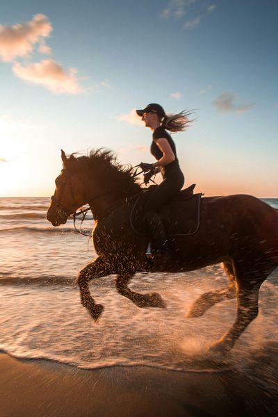 Woman in Black Shirt Riding Brown Horse on Beach