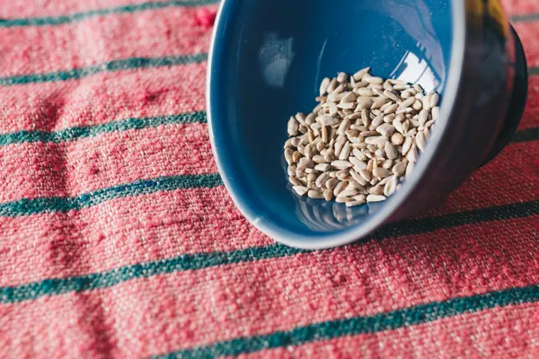 A blue bowl filled with sunflower seeds on a textured pink and green fabric.