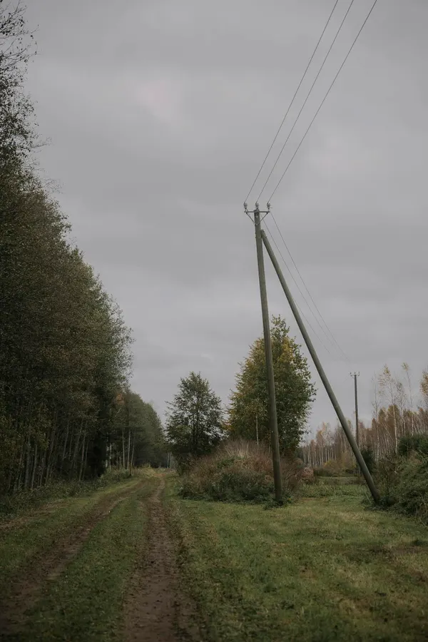 A tranquil dirt road surrounded by a dense forest under a cloudy sky, featuring utility poles.