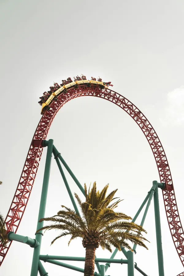 Experience the adrenaline rush of a roller coaster ride soaring above palm trees under a clear sky.