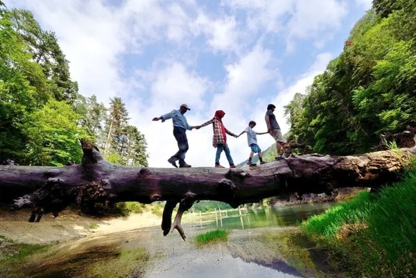 How To Routinely Keep Your Options Open on Life