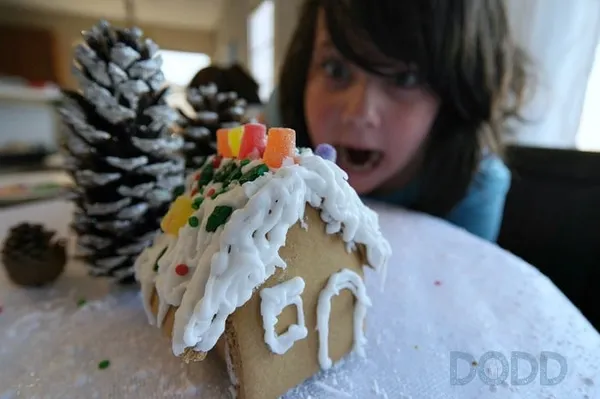 I made a Gingerbread House