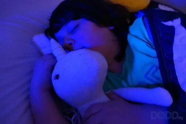 Preventing Nightmares - Advice for Parents When Their Kids Experience Nightmares or Bad Dreams