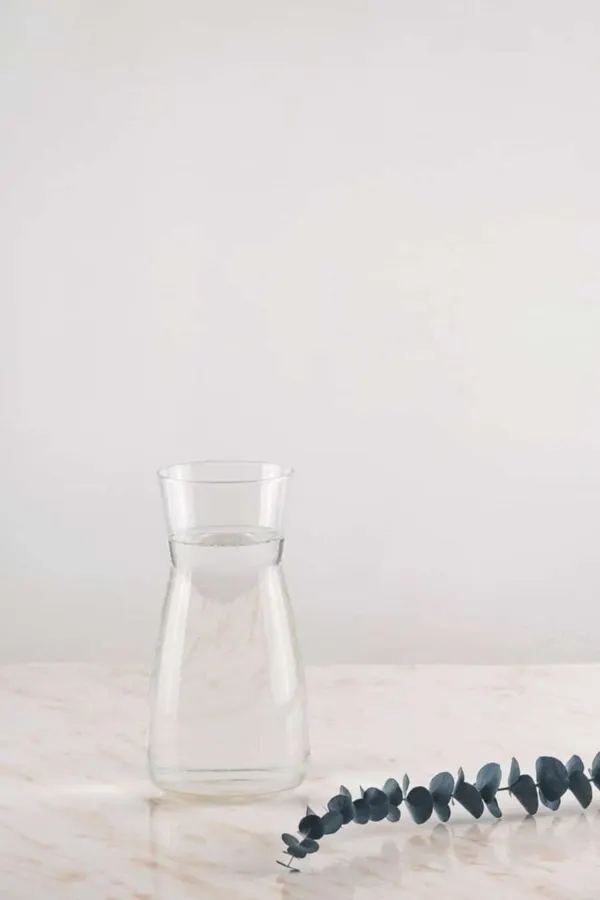 Modern water decanter with eucalyptus branches in minimalism style