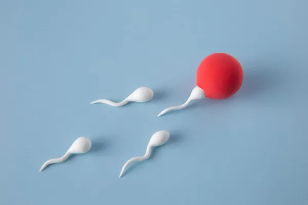 Still life fertility concept high angle