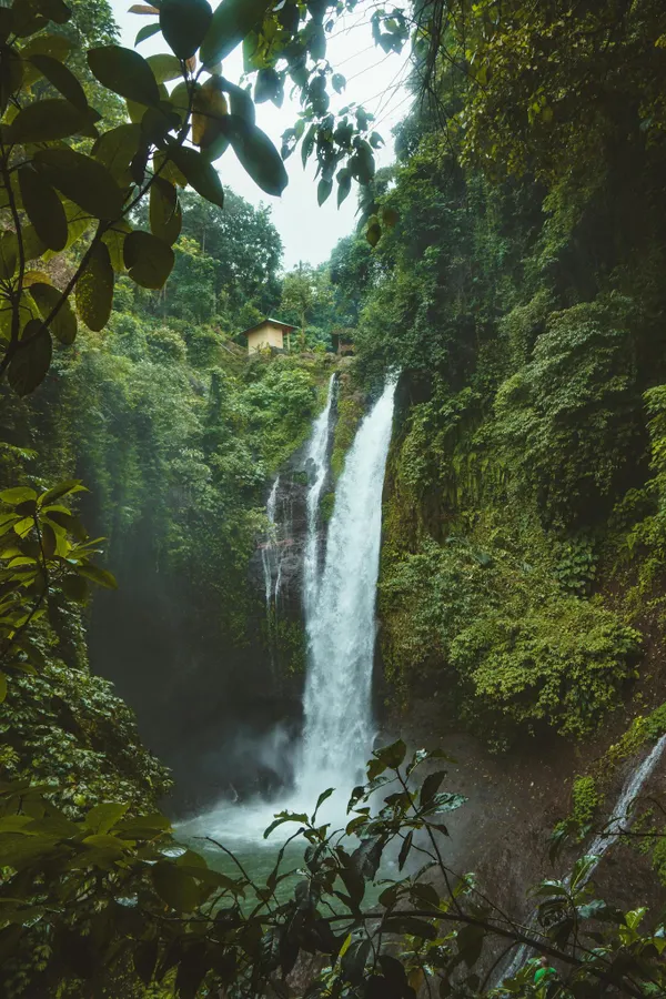 Stunning waterfall in a lush tropical rainforest in Sukasada, Bali. Perfect for nature lovers.
