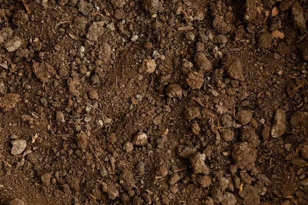 6 Tips for Selecting the Best Excavation and Earthmoving Contractor