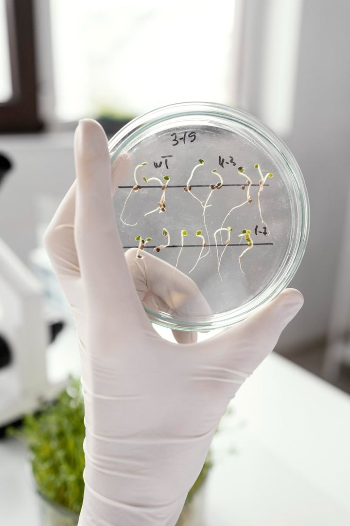 Why Stem Cell Therapy Offers Hope