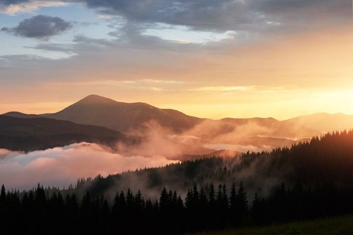 Why Pigeon Forge Is One Of Tennessee's Hottest Destinations