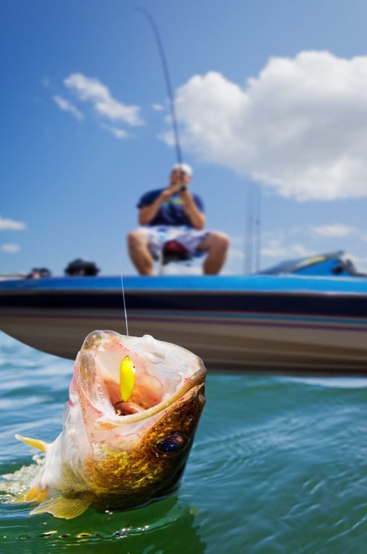 Fishing Trip Essentials: What to Bring for a Day on the Water