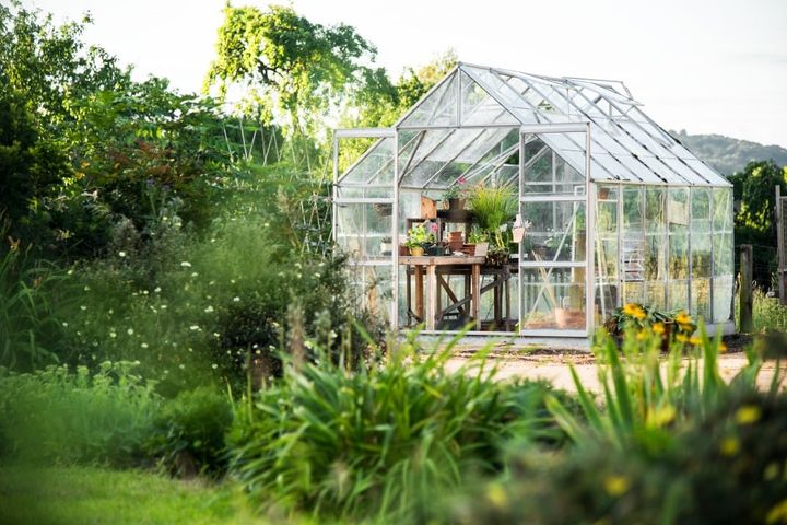 glass-greenhouse