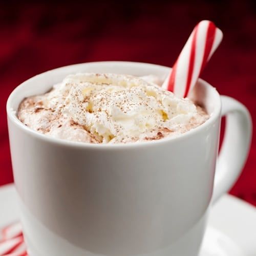 Hot Chocolate Milk Unleashed