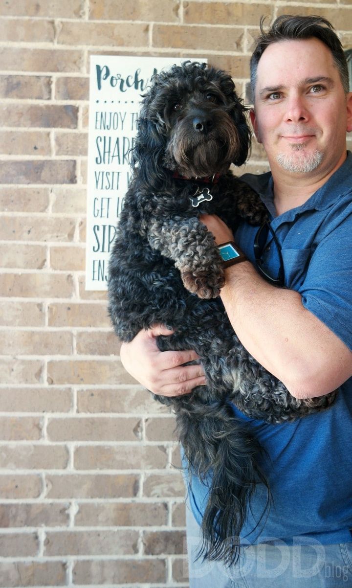 How to Get Highly Nutritious Foods for Your Family Pet