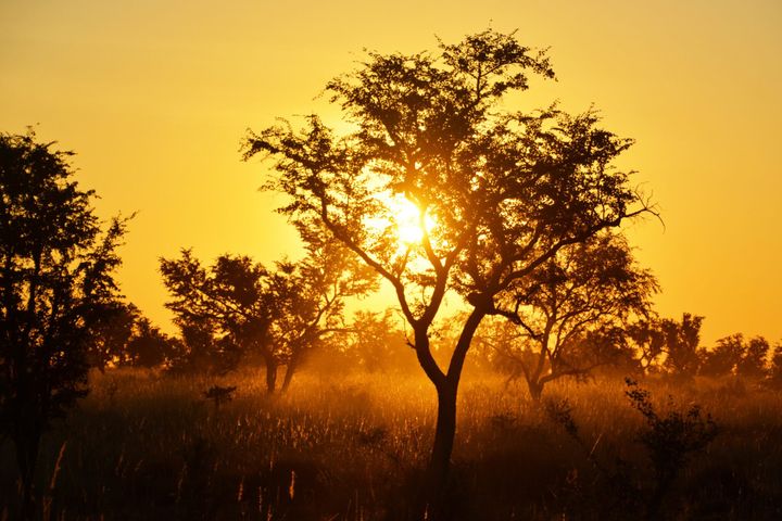 Best African Countries to Visit in 2025: Trends and Travel Tips