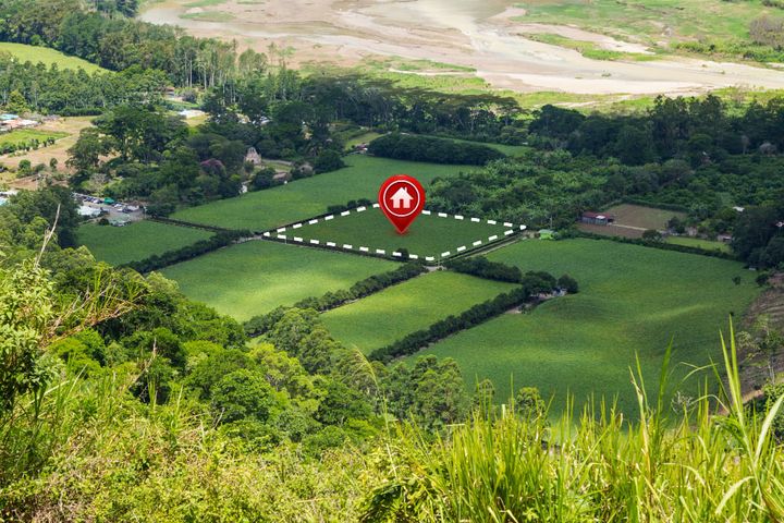 land plot for real estate and business development