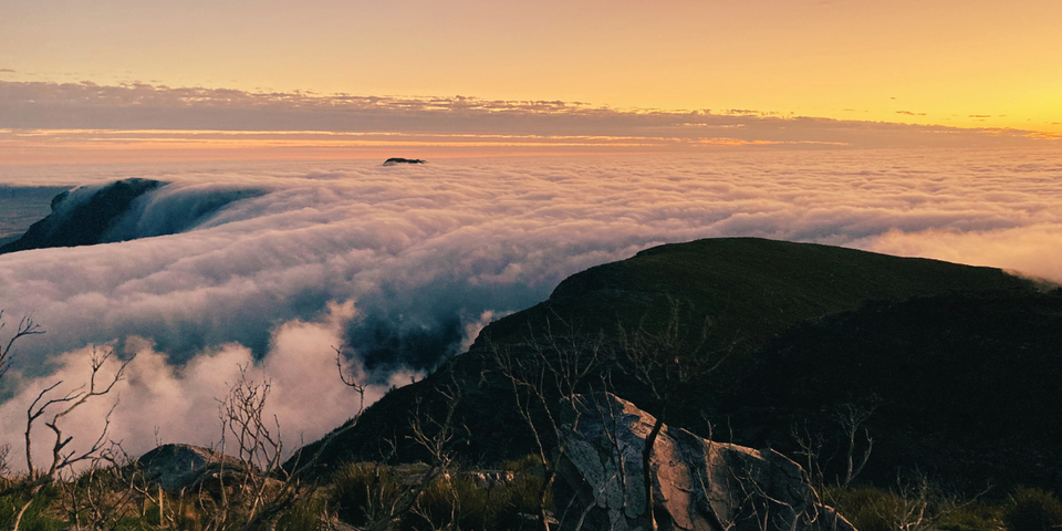 Workshop: Effective Flow - achieving outcomes while maintaining affinity