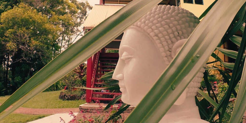 1:1 Session: Moving Minds