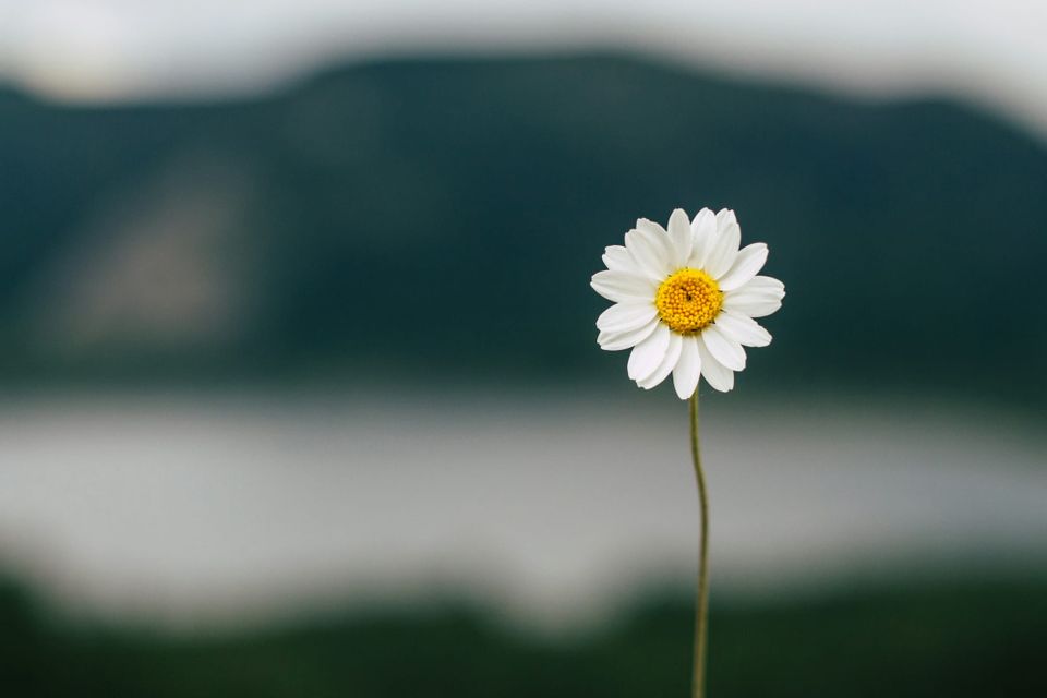 The rewards of being ordinary