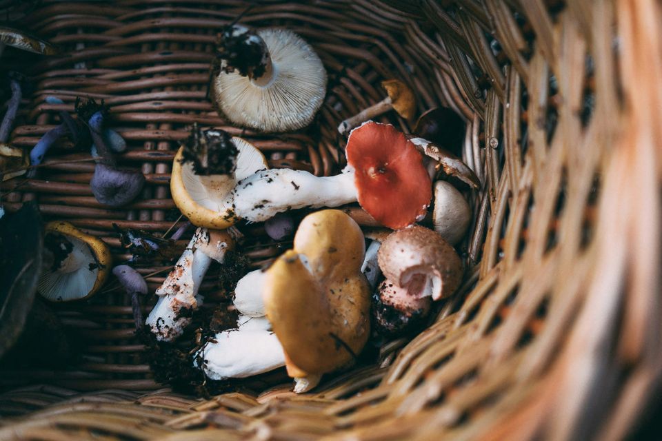 In praise of self-sufficiency