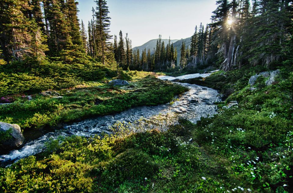 The camp by the stream by the path you dream of