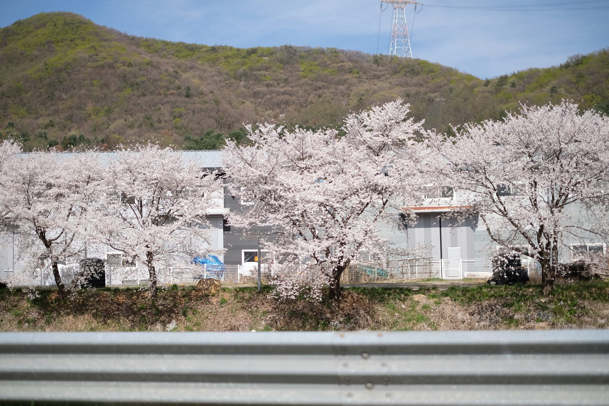 Konnect In Korea