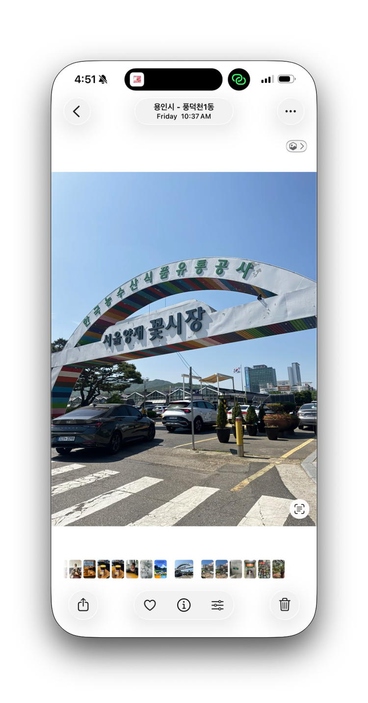 Yangjae Flower Market: A Foreigner's Guide to Seoul's Biggest Flower Wholesale Market (2026)