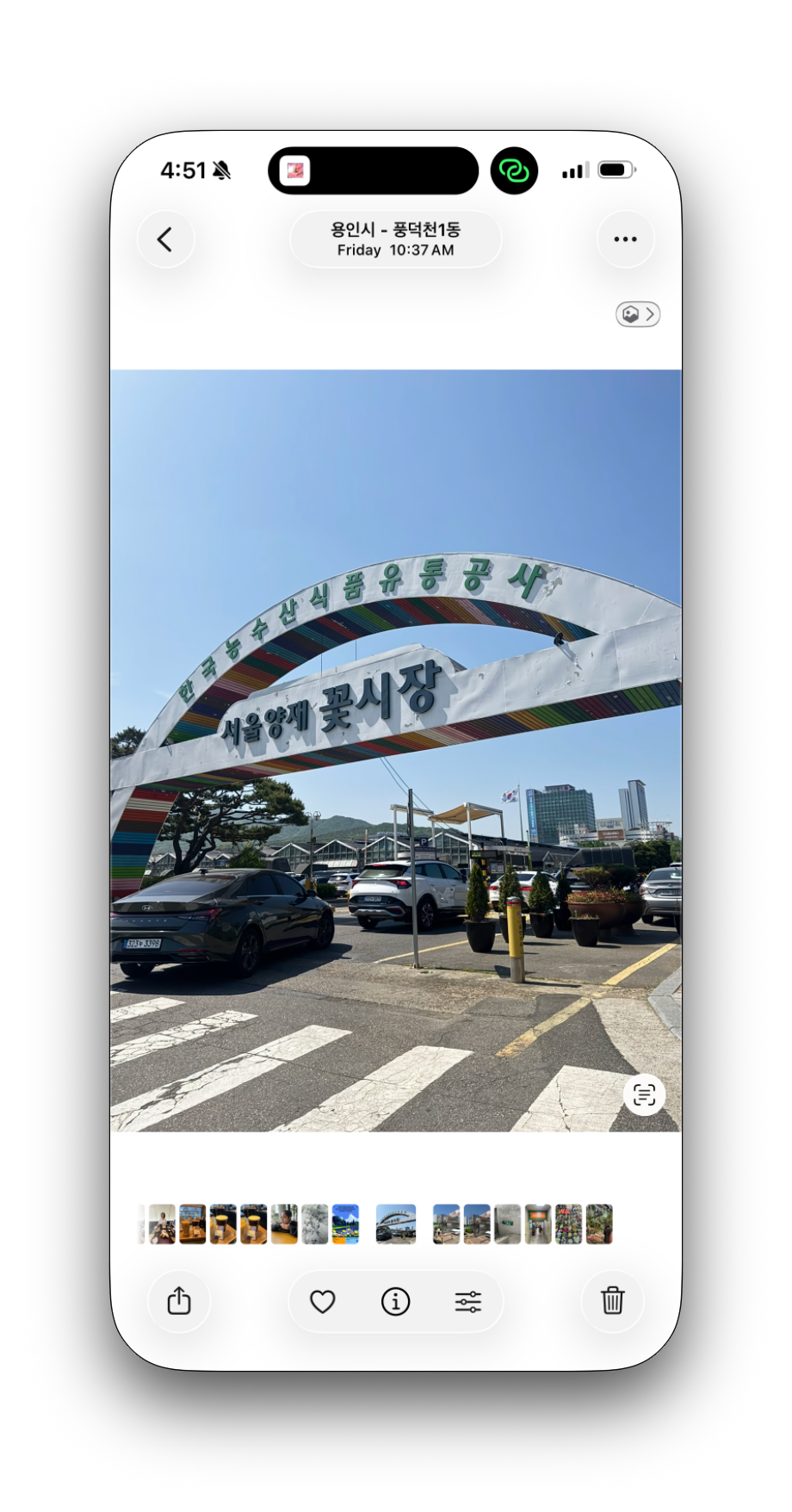 Yangjae Flower Market: A Foreigner's Guide to Seoul's Biggest Flower Wholesale Market (2026)
