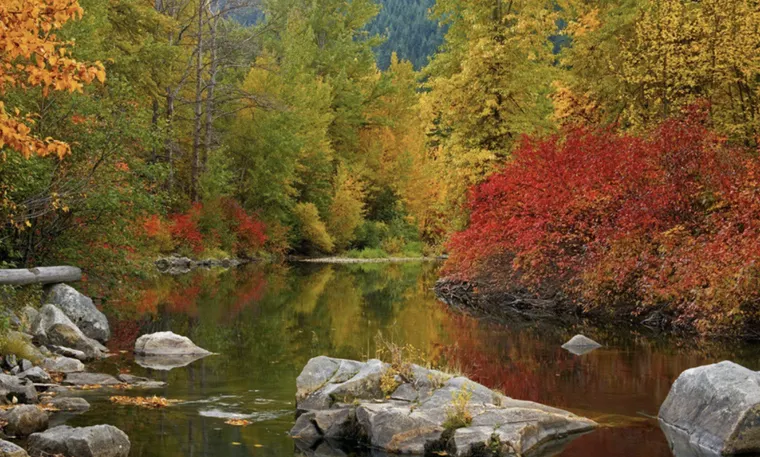 마음의 속도에 관하여: 숏폼과 도파민