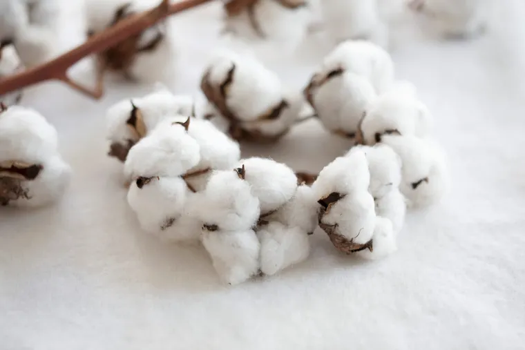 Ai 시대의 Life Style: 마음을 다루는 기술