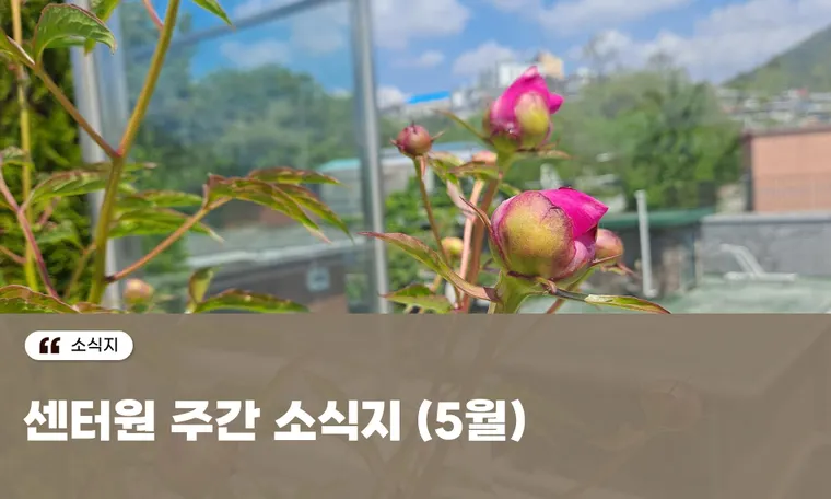 센터원 주간 소식지 (5월)