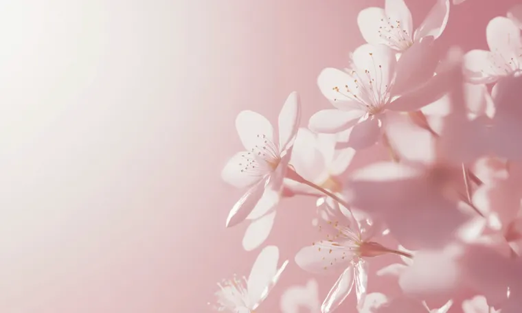 성숙 : 침묵의 꽃