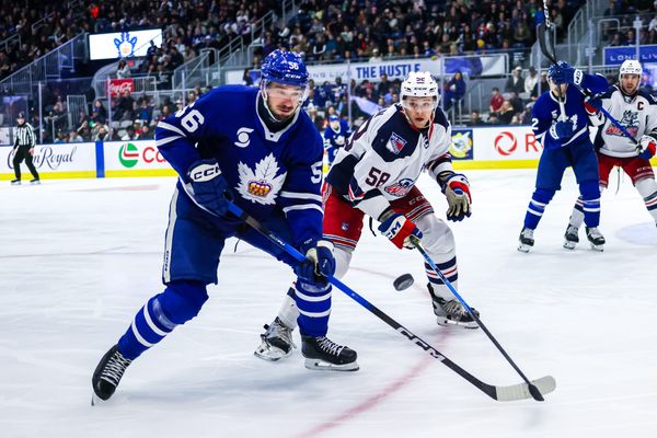 Lamb Scores First Pro Goal, but Wolf Pack Fall to Marlies 6-3