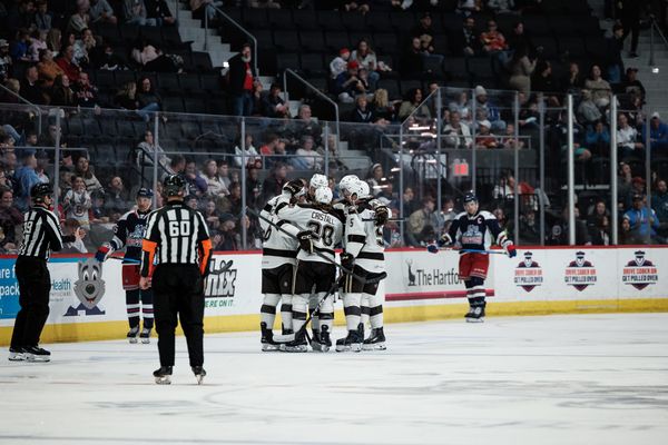 Wolf Pack Sunk by Bears 8-1