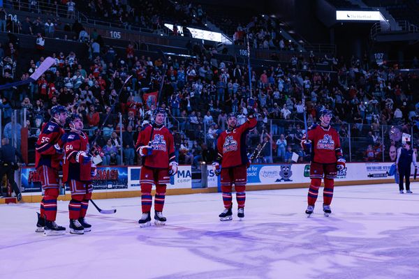 The 2025-26 Hartford Wolf Pack: Sugar, We're Goin' Down