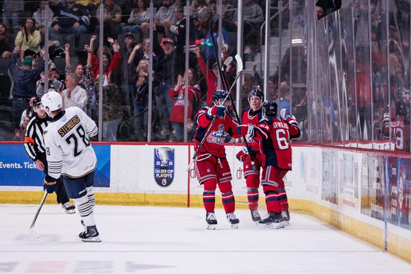 2026 Hartford Wolf Pack Report Cards: The Forwards