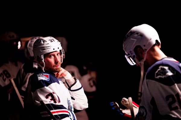Talking Pack: The Vet-ting Process