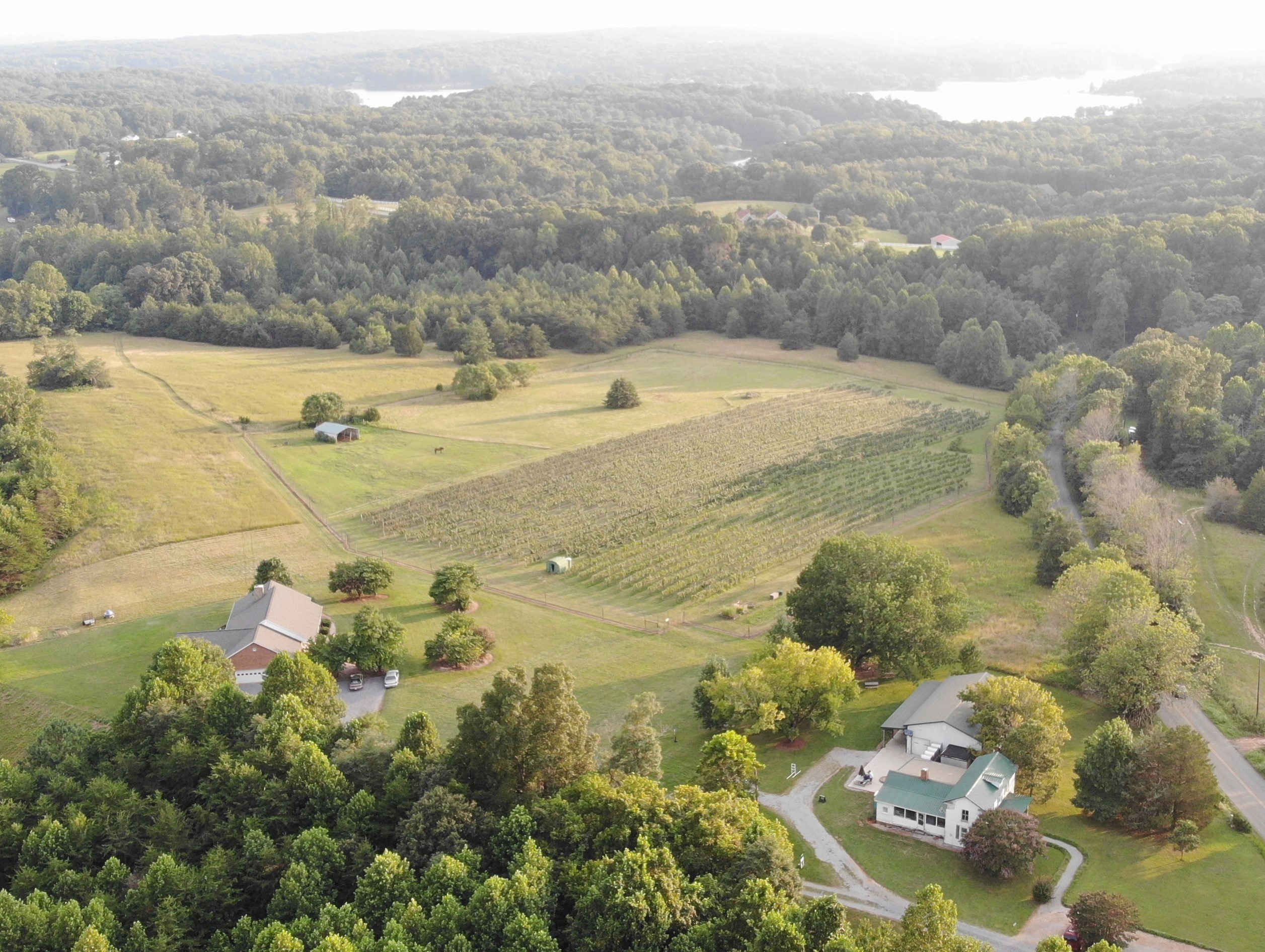 Smith Mountain Lake Wineries