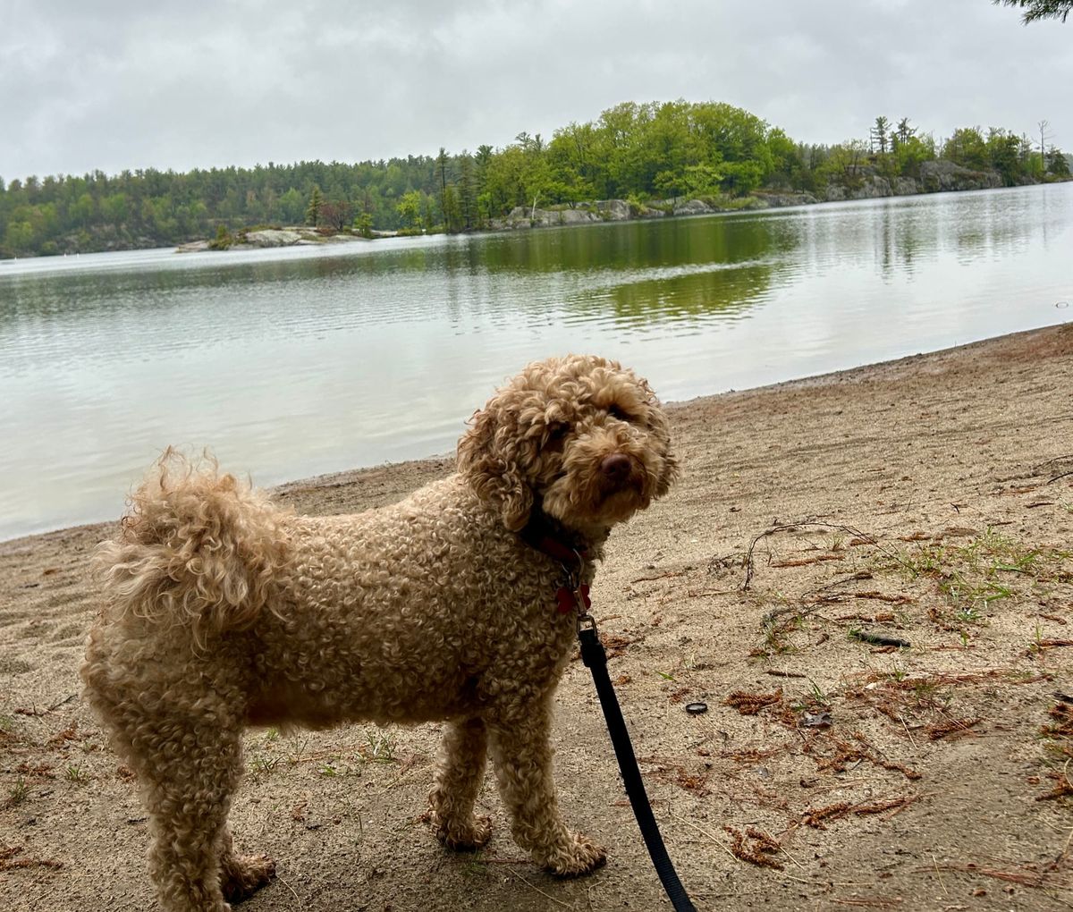A Little Spring Hiking