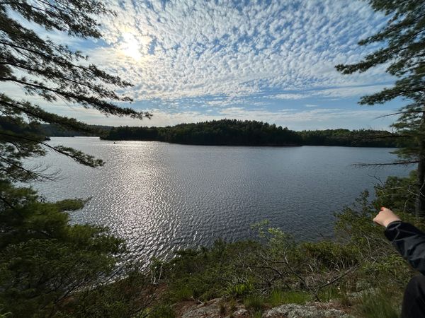 Charleston Lake Hiking