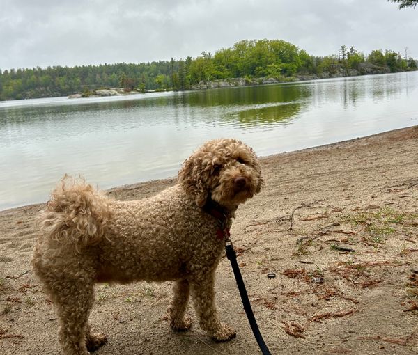 A Little Spring Hiking
