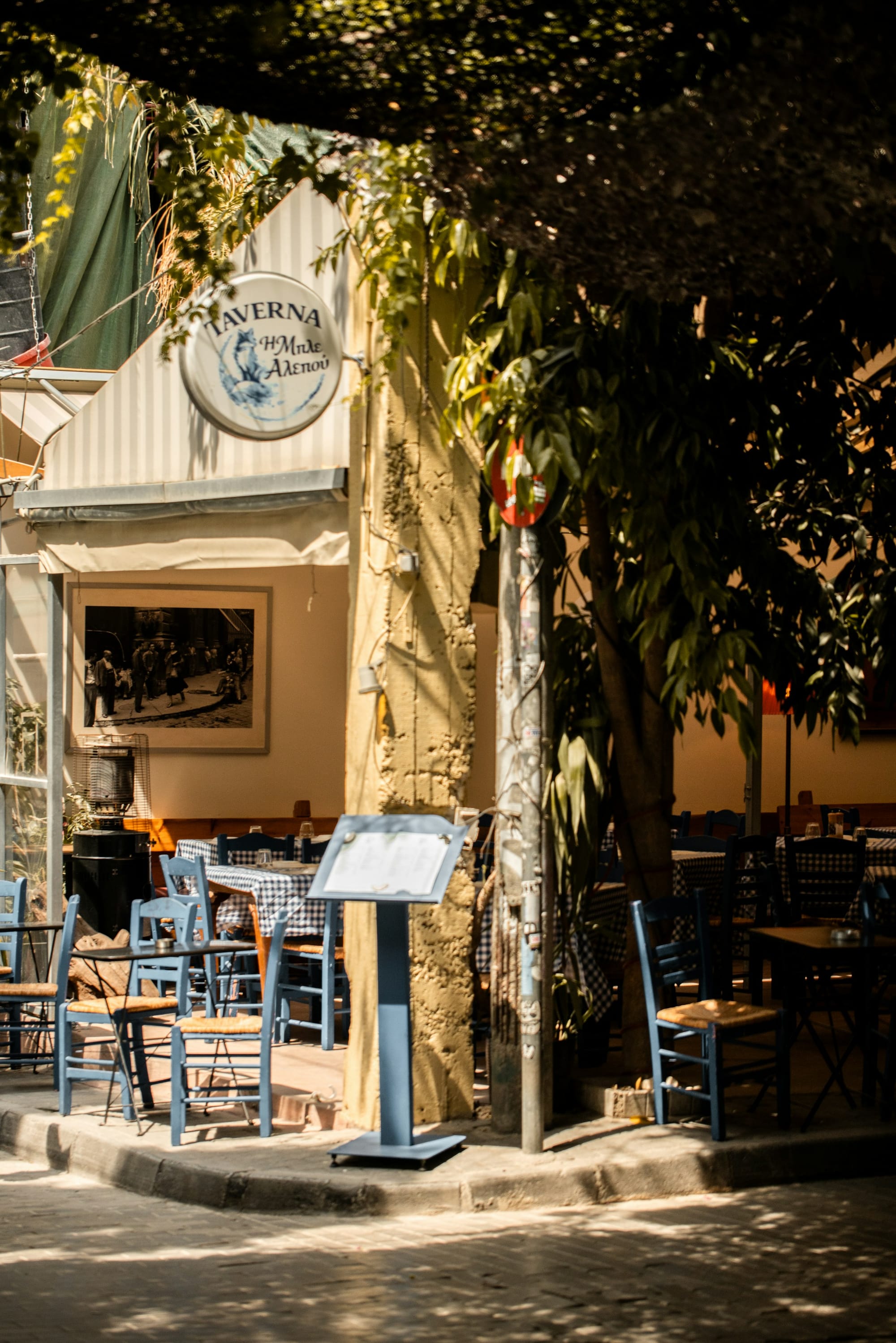 A sunlit Athens taverna with blue chairs and tables beneath leafy trees.