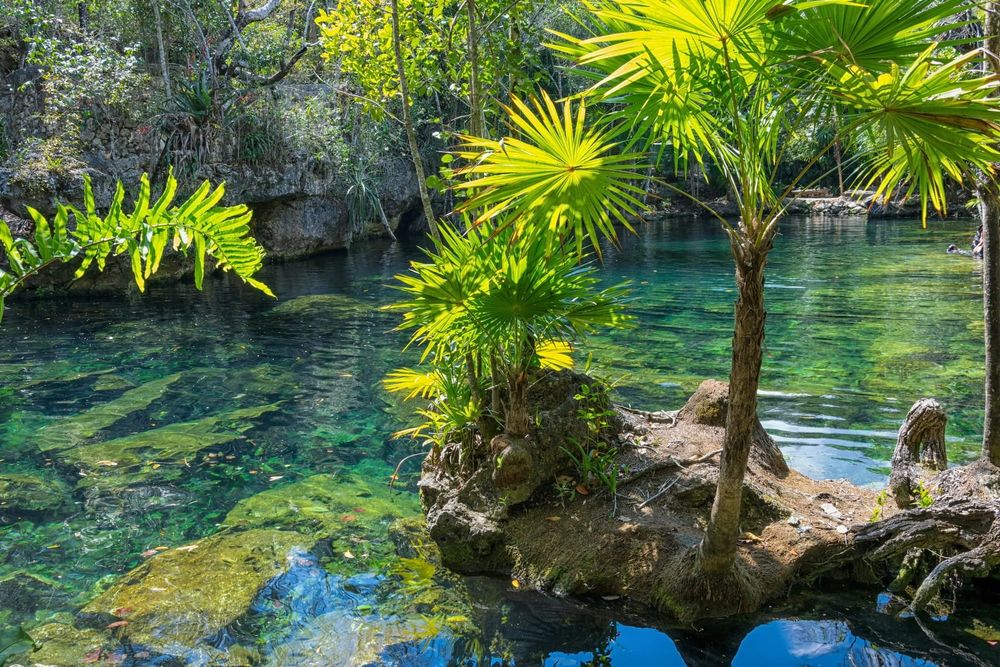 Photo of an oasis
