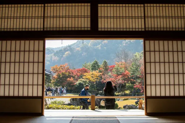 Autumn foliage in Japan with red maple, green pine, and mountain forest