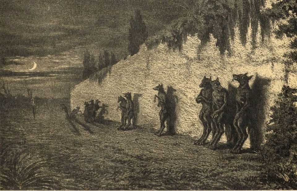 A brief history of the female werewolf