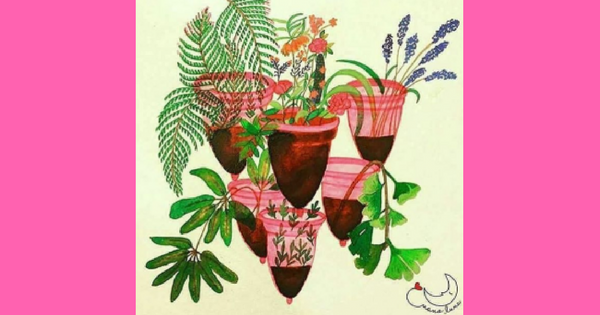 Sangrando para Liberación