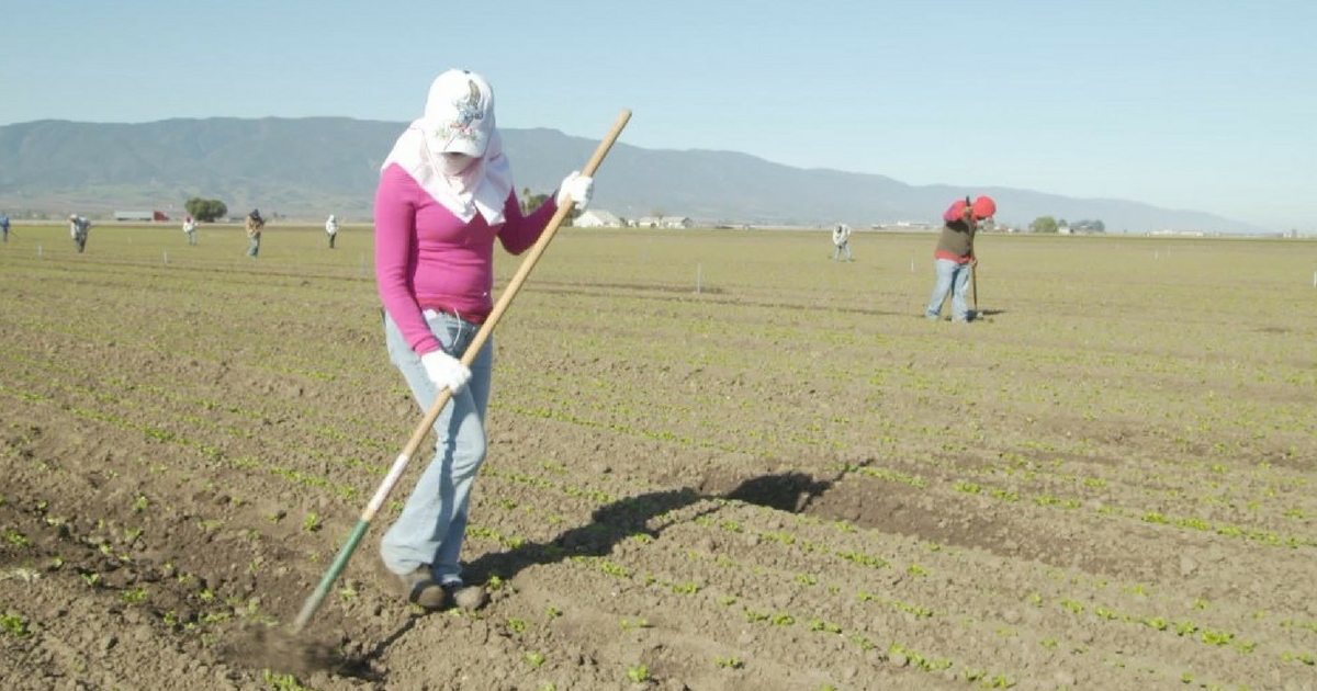 The Fight Against Sexual Harassment on Farms Continues