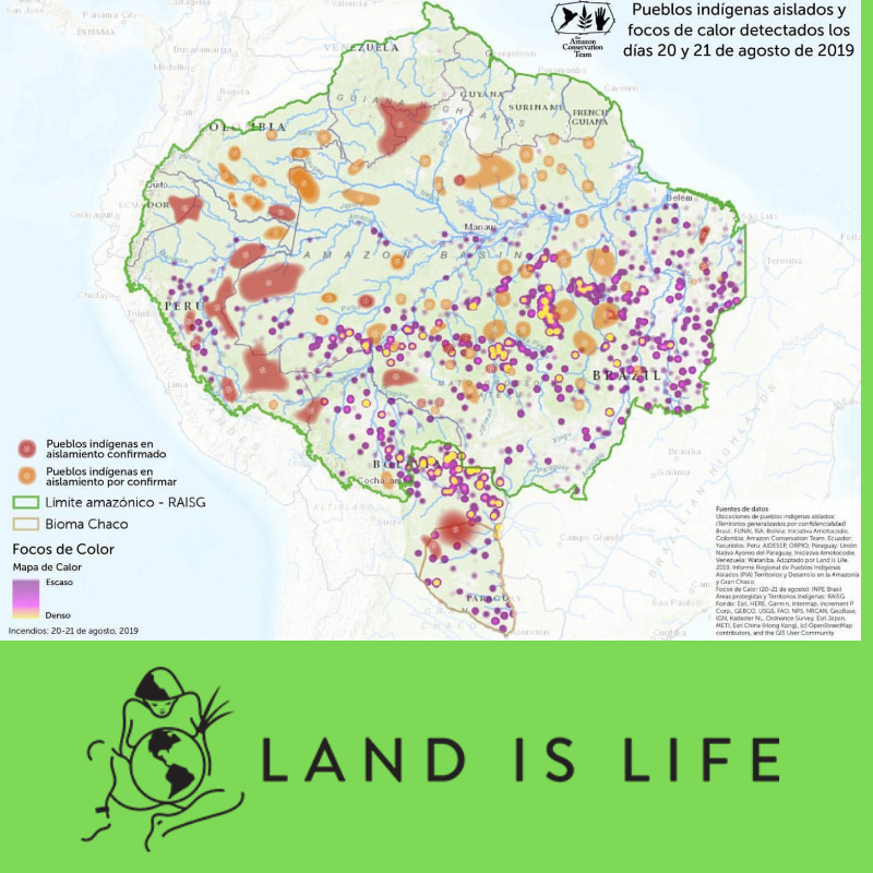 Bolivian Influencer Amazon Rainforest